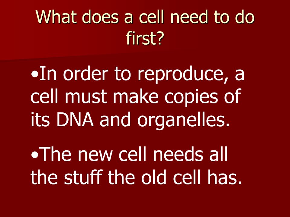 What does a cell need to do first.