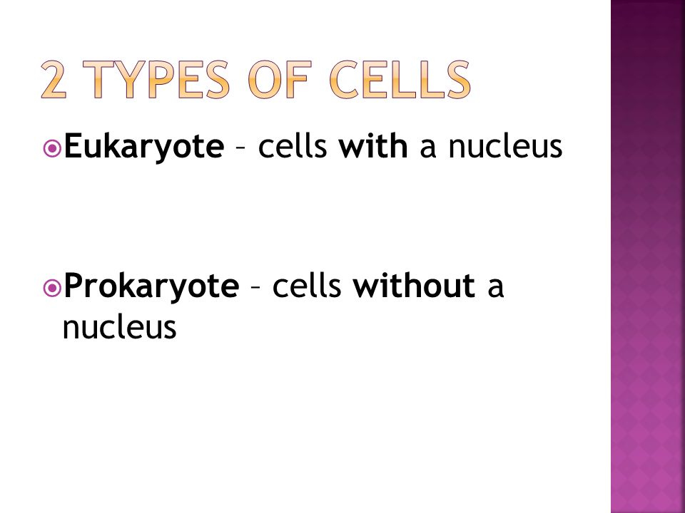 DNA. ALL LIVING THINGS ARE COMPOSED OF CELLS CELLS ARE THE BASIC UNIT ...