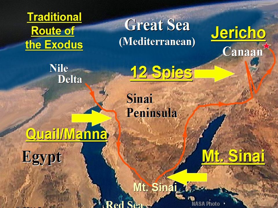 Rechabites Jeremiah 35. 1Ch 2:55 And the families of the scribes which ...