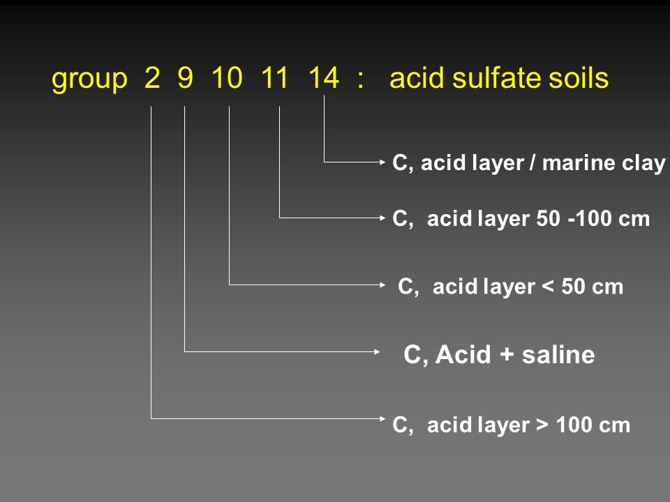 group : acid sulfate soils C, acid layer / marine clay C, acid layer < 50 cm C, acid layer cm C, Acid + saline C, acid layer > 100 cm