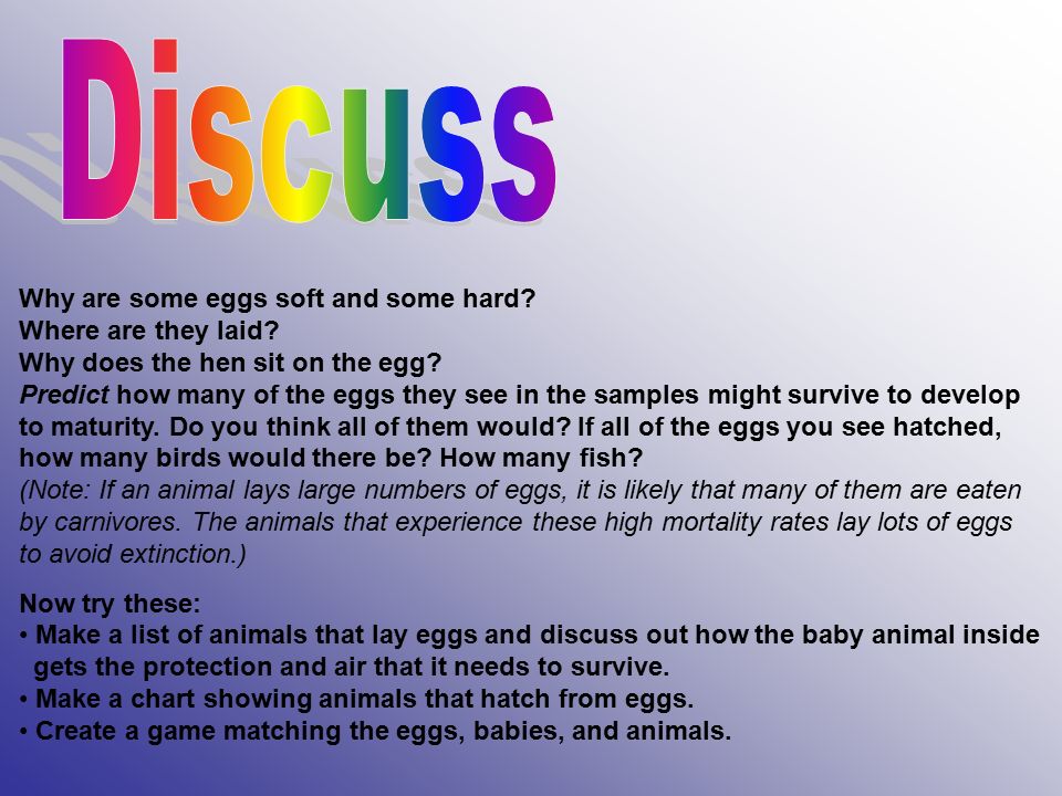 What kinds of animals lay eggs? All birds, turtles, lizards, fish,  reptiles, dinosaurs, most insects, worms, arachnids, amphibians, but very  few mammals, - ppt download