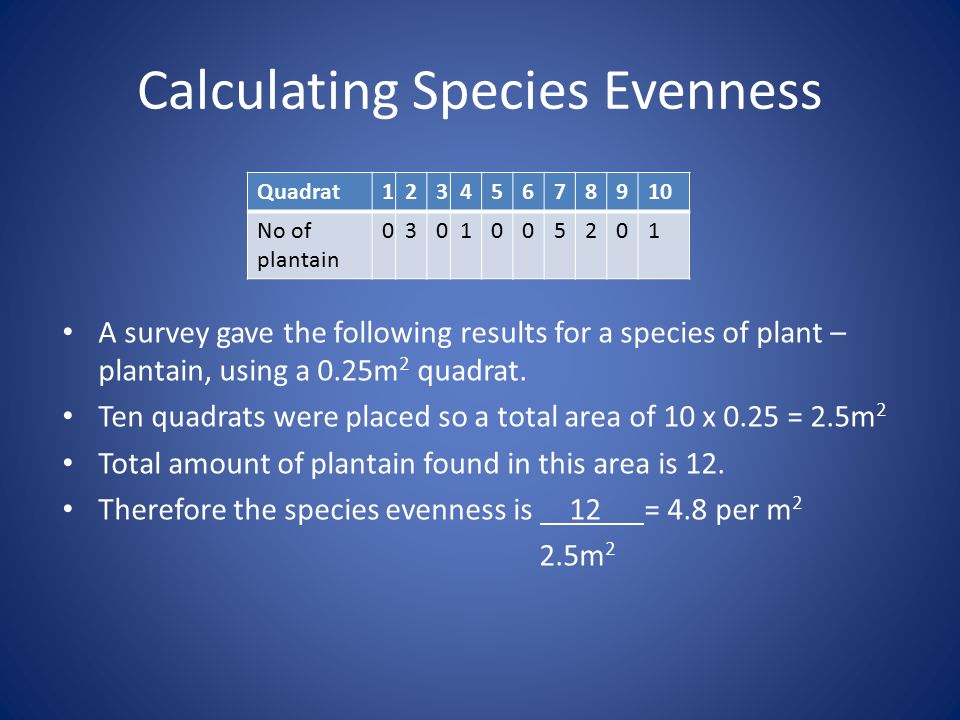 Module 4 – Biodiversity By Ms Cullen. Terminology Try and define the  following terms used when studying the environment. - ppt download