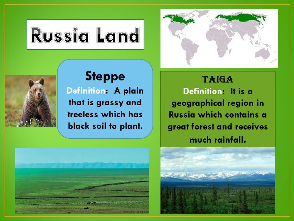 The Rise of The Russian Empire. Steppe Definition: A plain that is grassy  and treeless which has black soil to plant. Taiga Definition: It is a  geographical. - ppt download