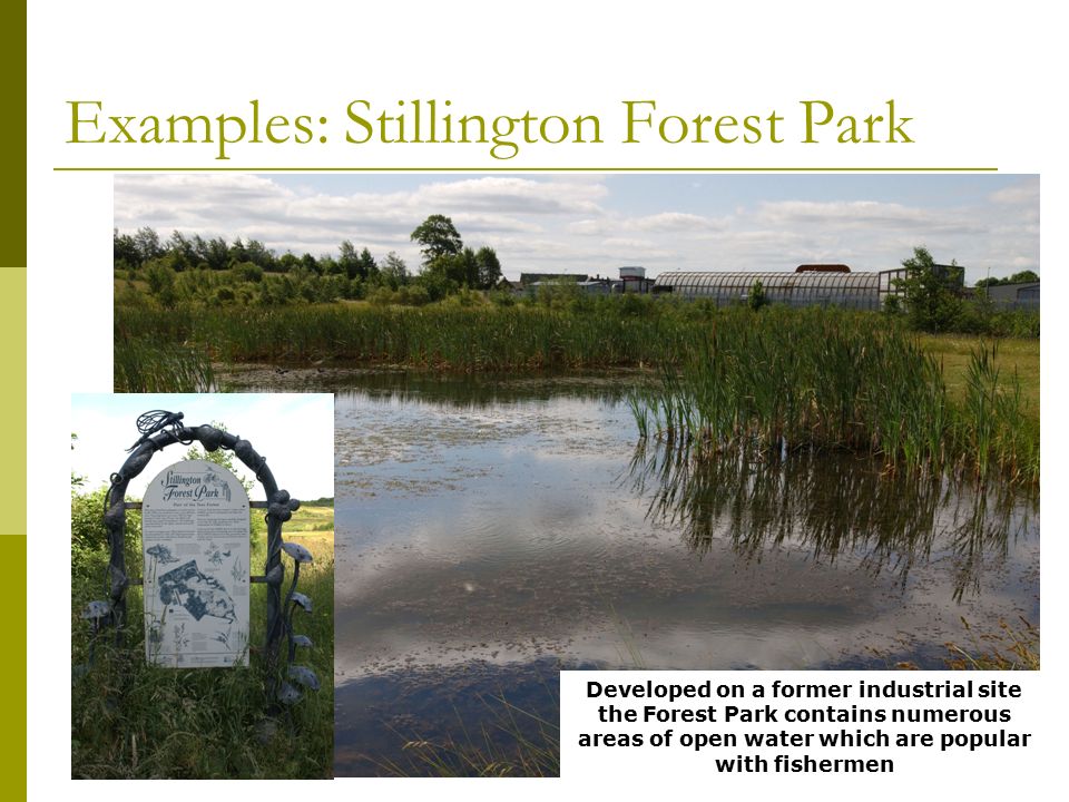 Examples: Stillington Forest Park Developed on a former industrial site the Forest Park contains numerous areas of open water which are popular with fishermen