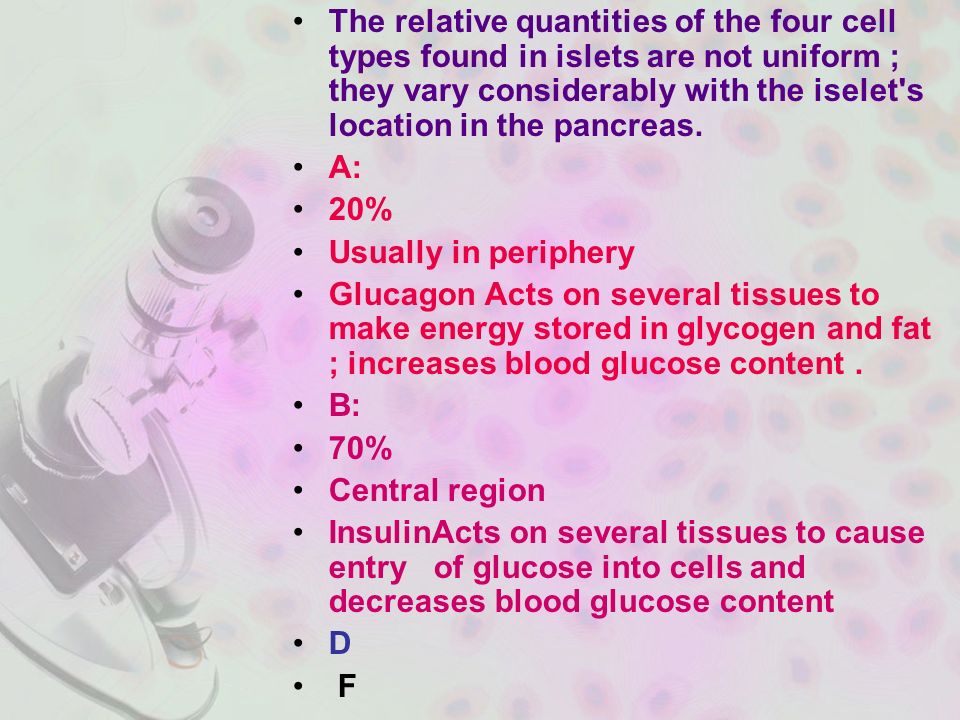 The relative quantities of the four cell types found in islets are not uniform ; they vary considerably with the iselet s location in the pancreas.