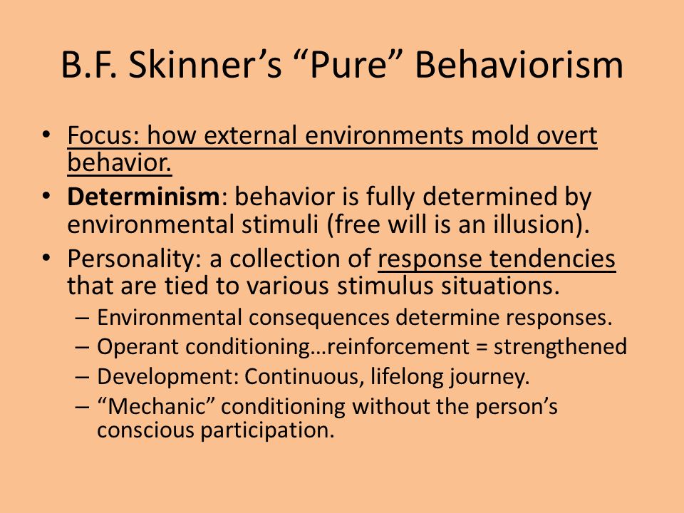 bf skinner personality theory