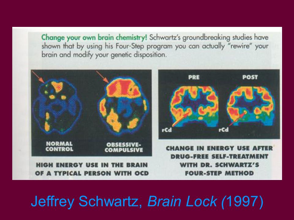 jeffrey schwartz brain lock