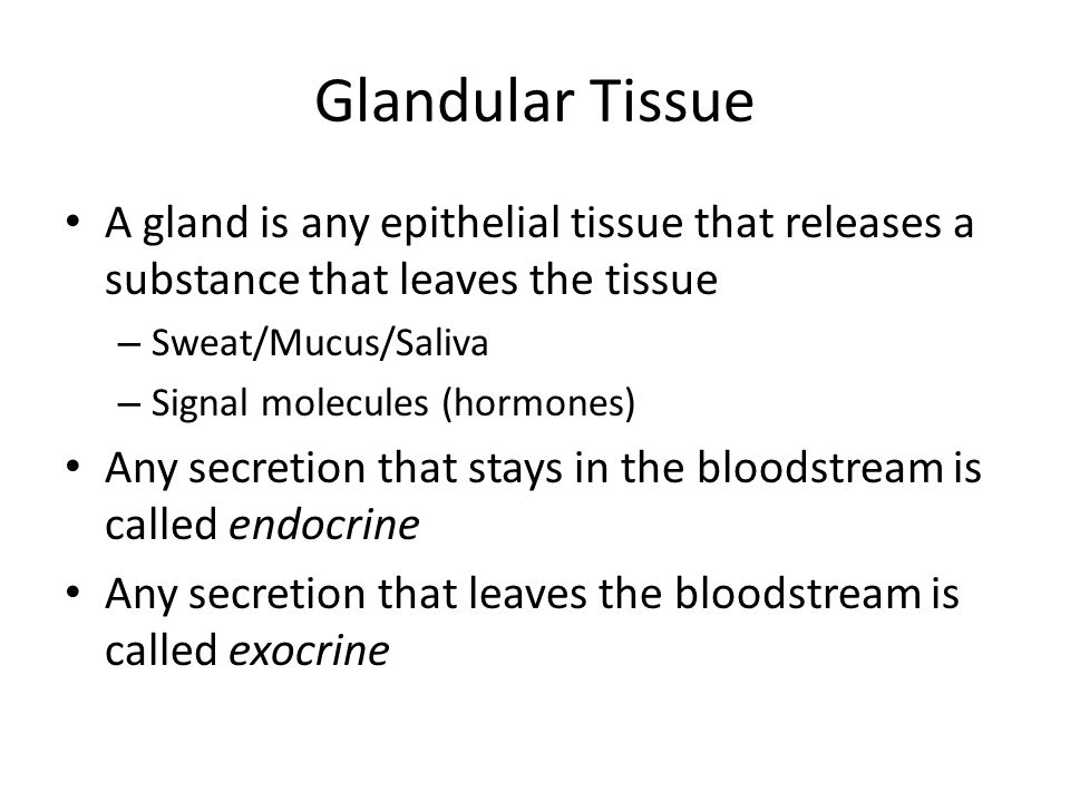 Glandular Tissue A gland is any epithelial tissue that releases a substance that leaves the tissue – Sweat/Mucus/Saliva – Signal molecules (hormones) Any secretion that stays in the bloodstream is called endocrine Any secretion that leaves the bloodstream is called exocrine