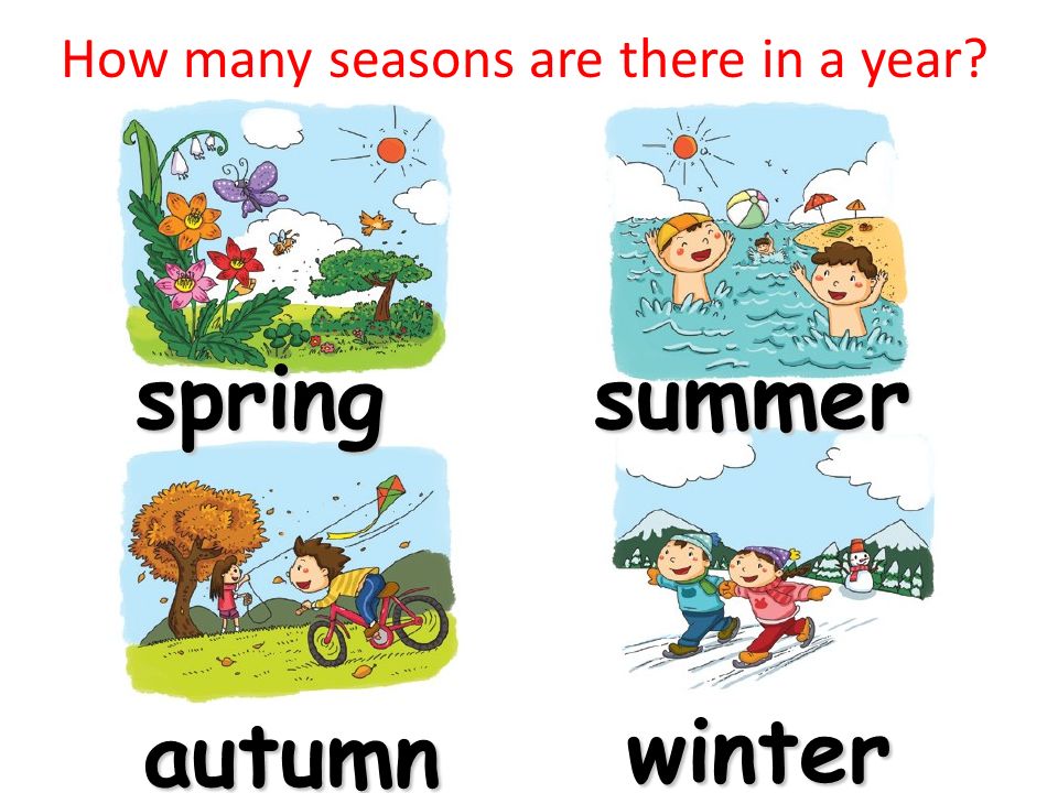 Seasons months of the year. Seasons для детей. Seasons на английском. Картинки по теме Seasons. Months and Seasons для детей.