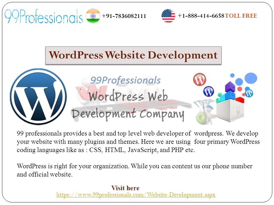 99 professionals provides a best and top level web developer of wordpress.