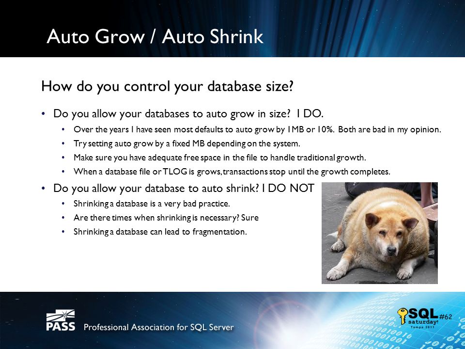 Auto Grow / Auto Shrink How do you control your database size.
