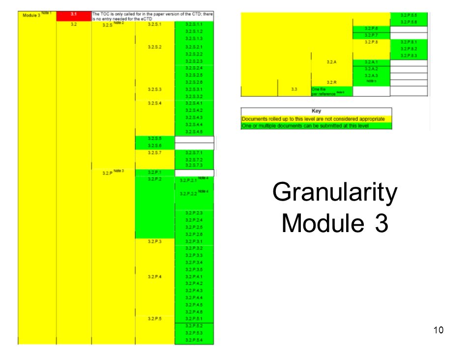Granularity Module 3 10