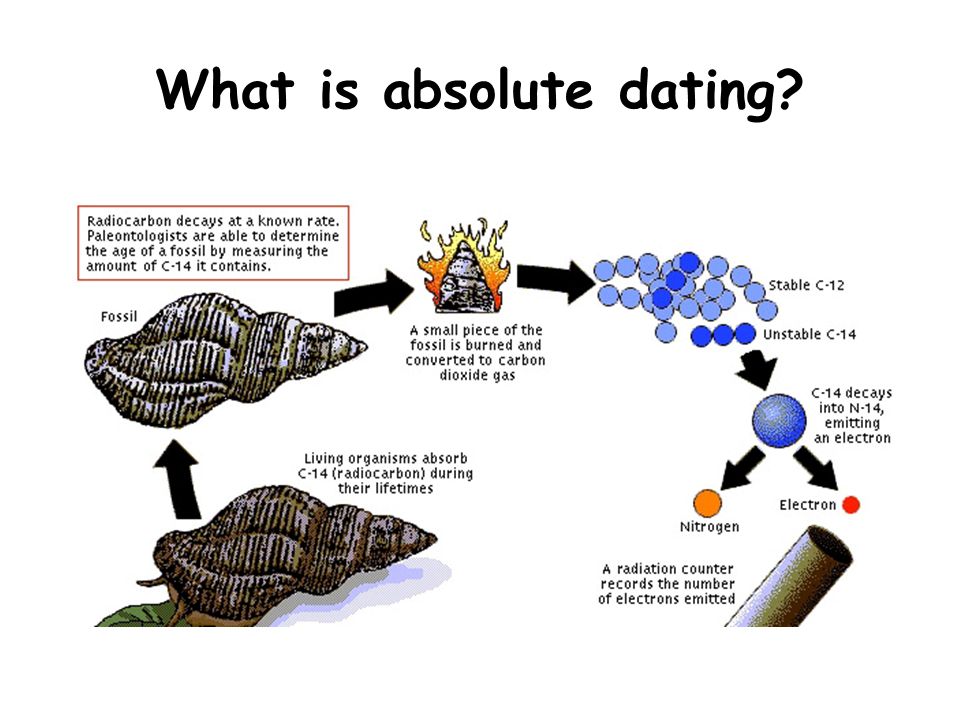 absolute dating of fossils
