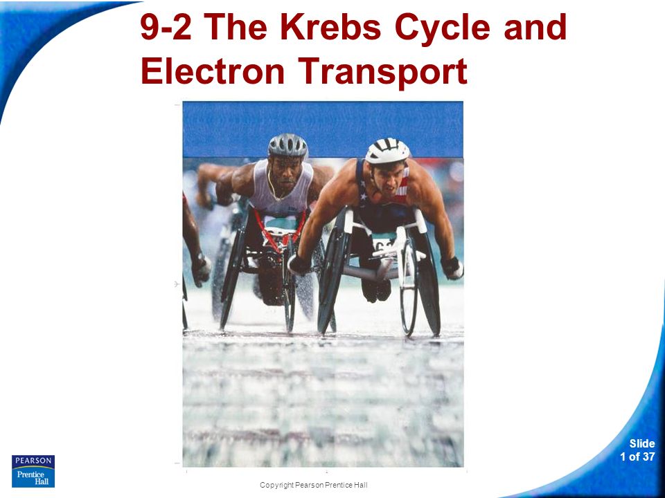 Slide 1 of 37 Copyright Pearson Prentice Hall 9-2 The Krebs Cycle and Electron Transport