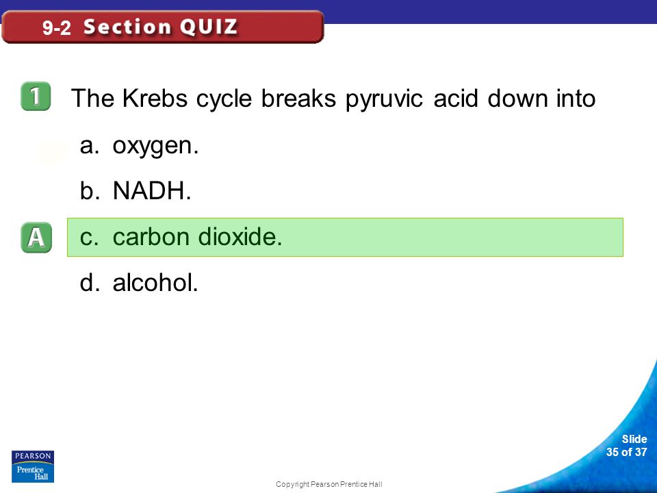 Slide 35 of 37 Copyright Pearson Prentice Hall 9-2 The Krebs cycle breaks pyruvic acid down into a.oxygen.