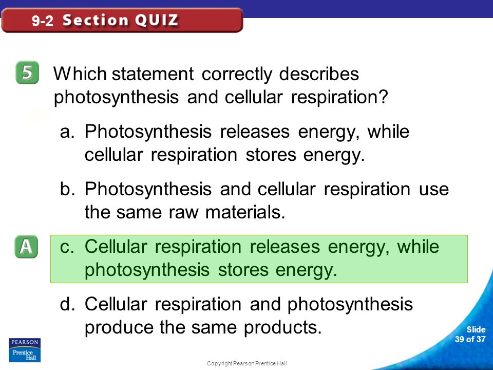Slide 39 of 37 Copyright Pearson Prentice Hall 9-2 Which statement correctly describes photosynthesis and cellular respiration.