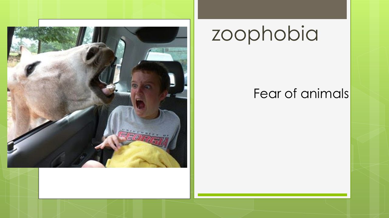 ology = study of -phobia = fear of. anthropology The study of humans. - ppt  download