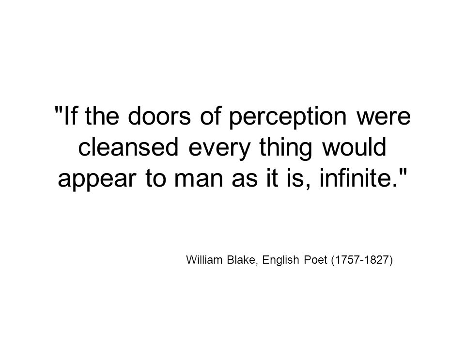 If The Doors Of Perception Were Cleansed Every Thing Would