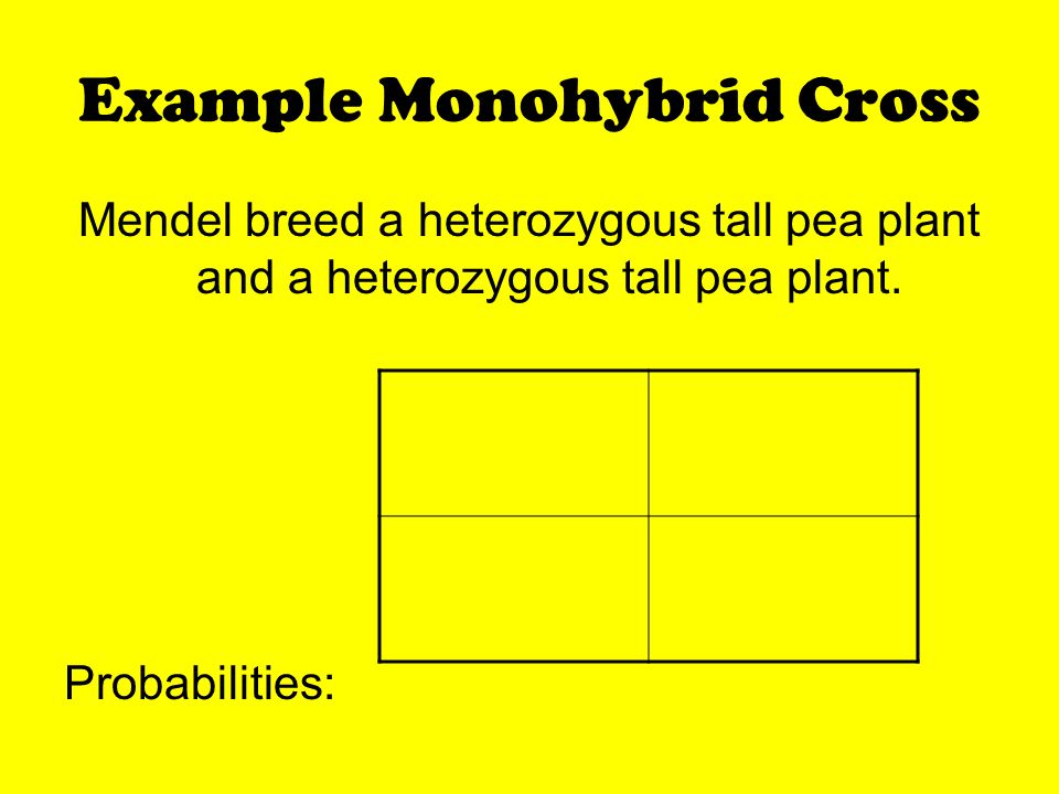 Punnett Squares. Monohybrid Crosses A punnett square that examines only one  trait at a time. Shows the probability of the traits of offspring. Set up.  - ppt download