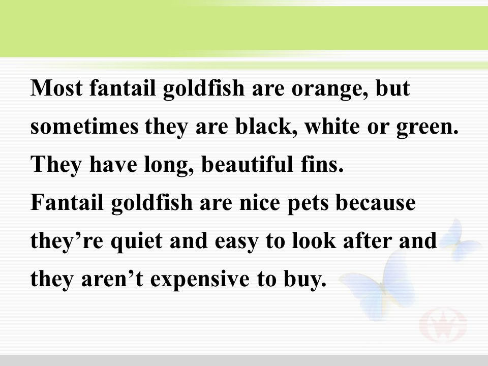 Most fantail goldfish are orange, but sometimes they are black, white or green.