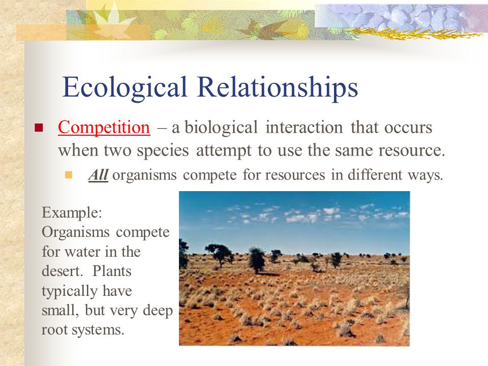 Ecological Relationships Competition – a biological interaction that occurs when two species attempt to use the same resource.