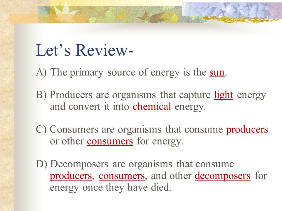 Let’s Review- A) The primary source of energy is the sun.