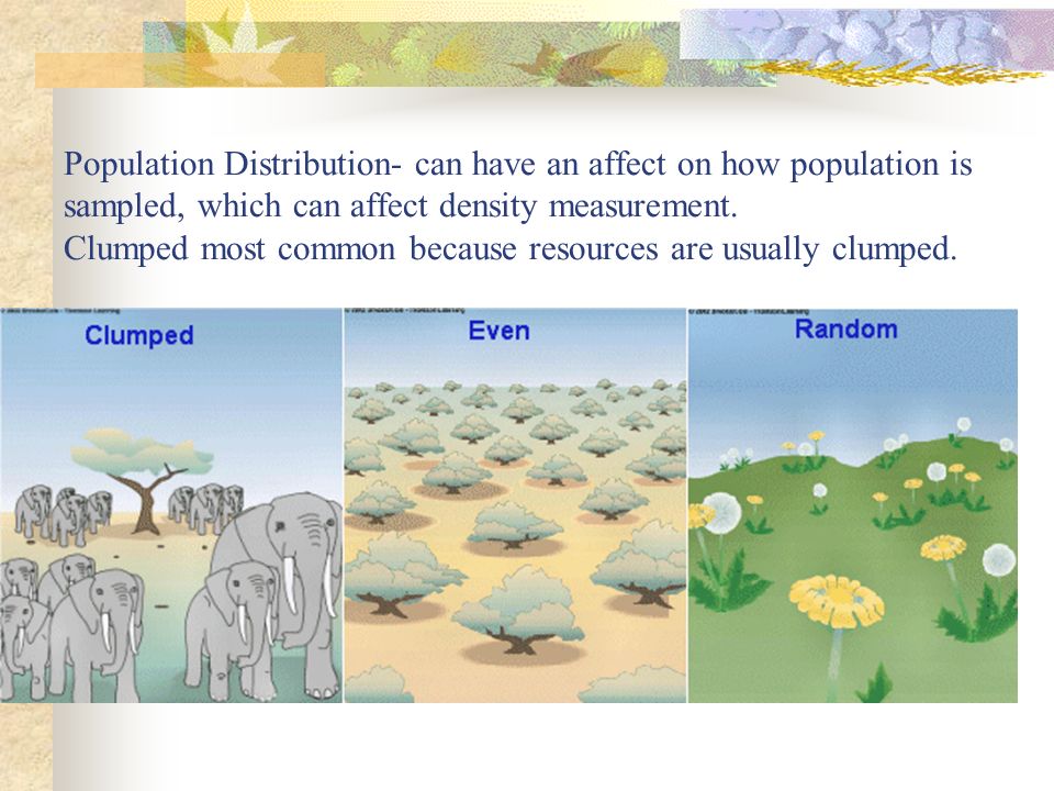 Population Distribution- can have an affect on how population is sampled, which can affect density measurement.