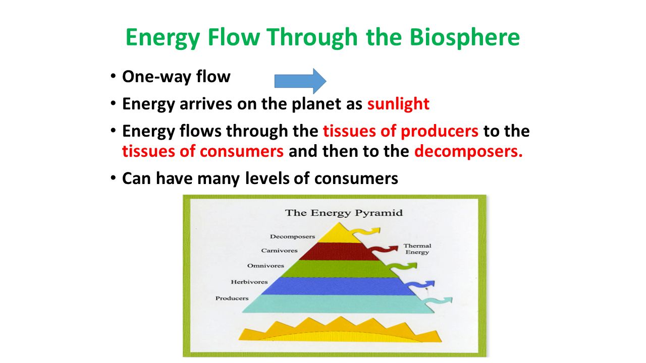 What is the biosphere 93 What is the biosphere 97