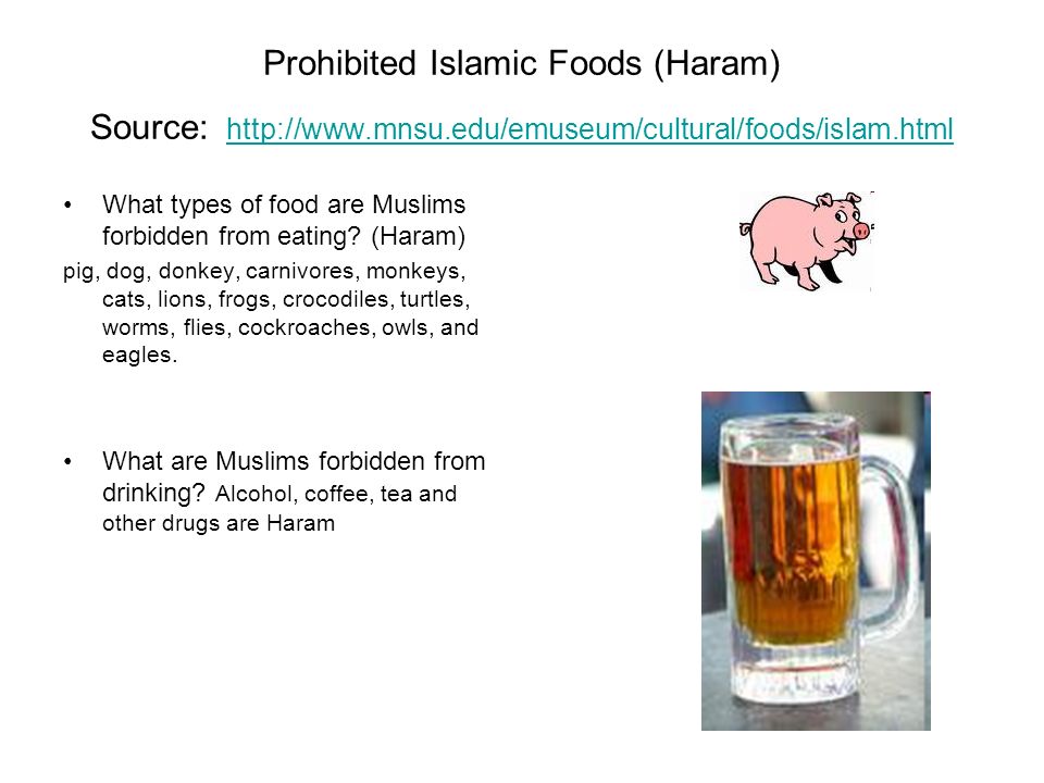 Prohibited Islamic Foods (Haram) Source:     What types of food are Muslims forbidden from eating.