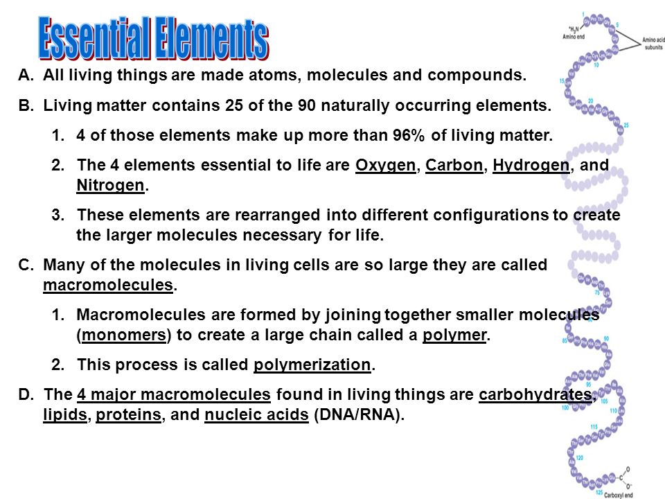 essential molecules for life
