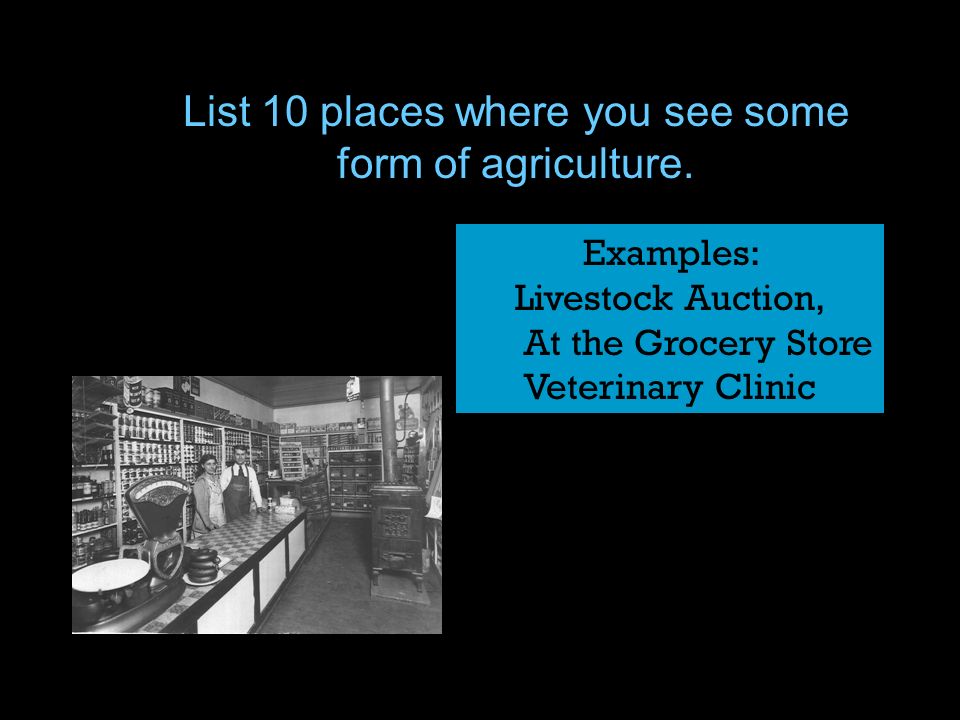 List 10 places where you see some form of agriculture.