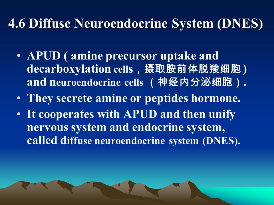 what is the neuroendocrine system
