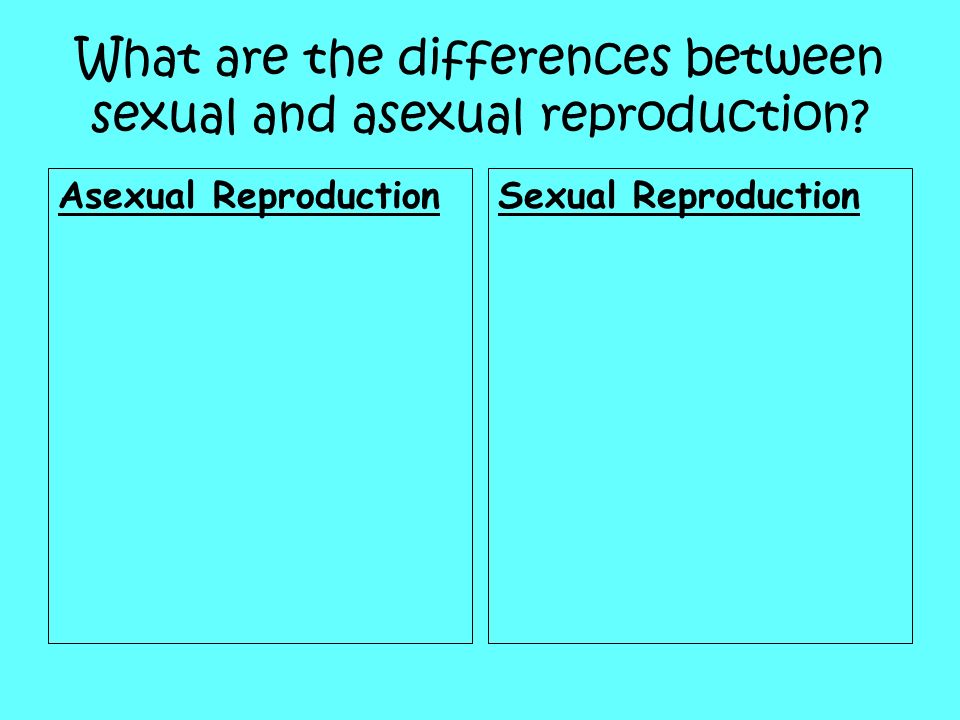 What are the differences between sexual and asexual reproduction.
