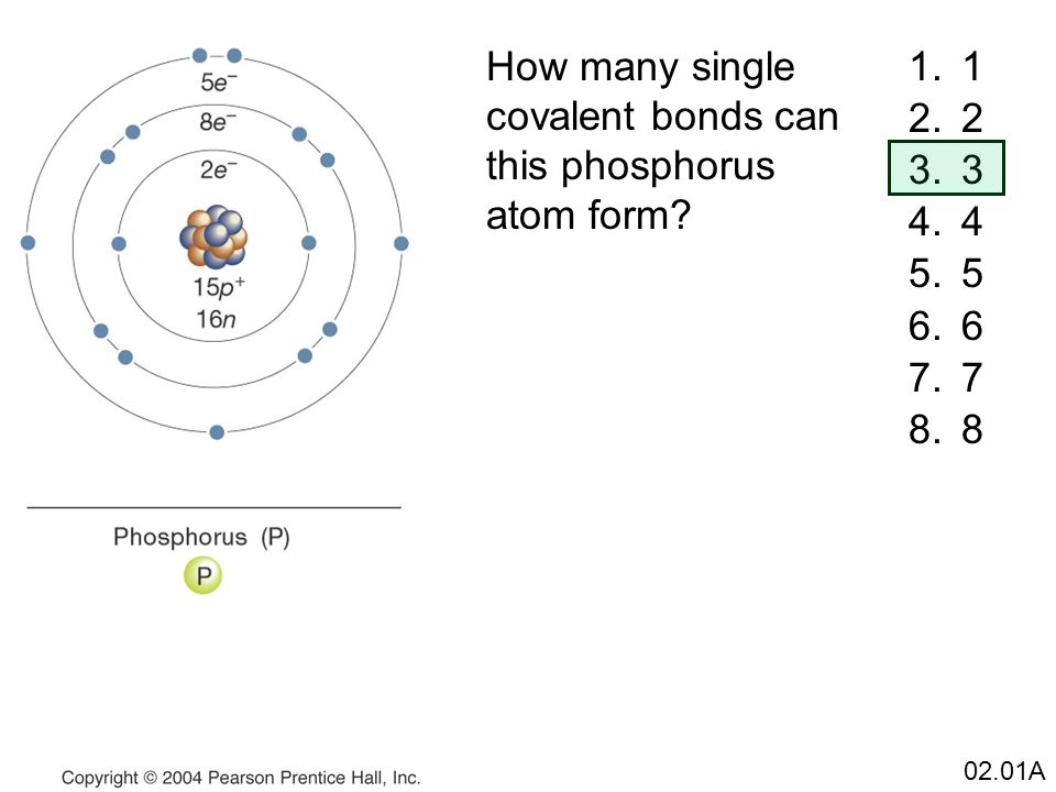 phosphorus atom project