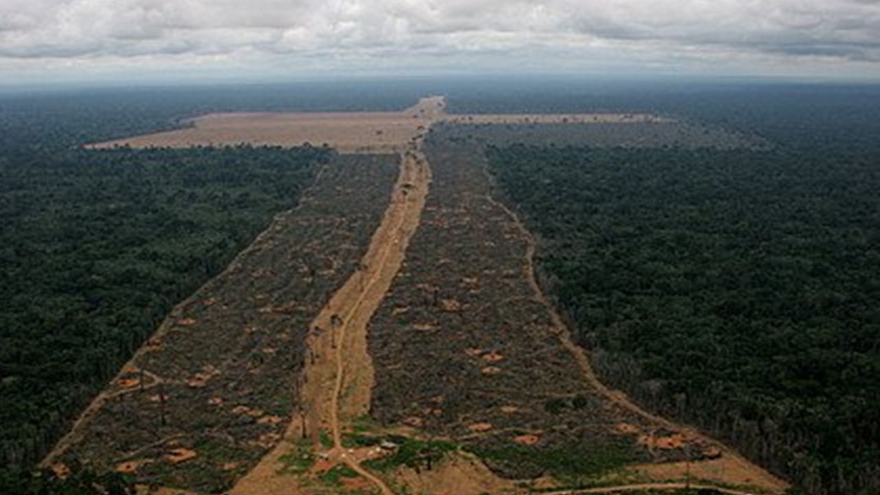 Deforestation near Cities
