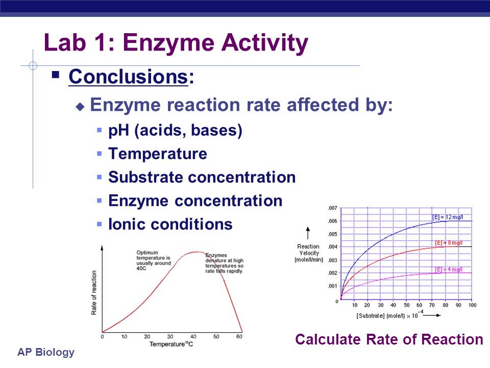 AP Biology Lab Review AP Biology Lab 1: Enzyme Activity  Concepts:  Enzyme   Structure (active site, allosteric site)  Lower activation energy, speed.  - ppt download
