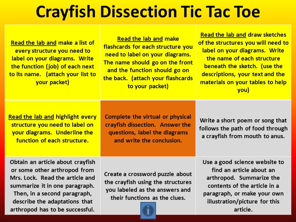 Crayfish Dissection Tic Tac Toe Read the lab and make a list of every structure you need to label on your diagrams.