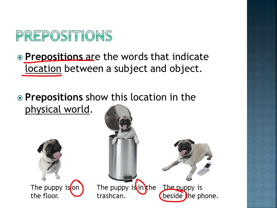  Prepositions are the words that indicate location between a subject and object.