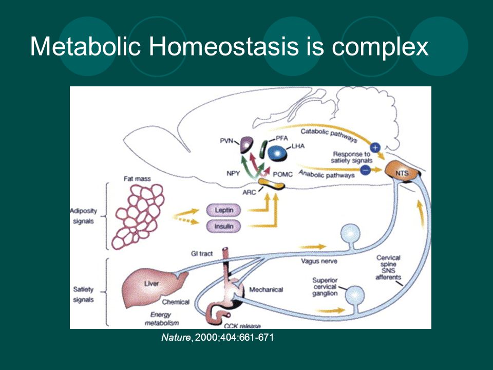 Metabolic Homeostasis is complex Nature, 2000;404: