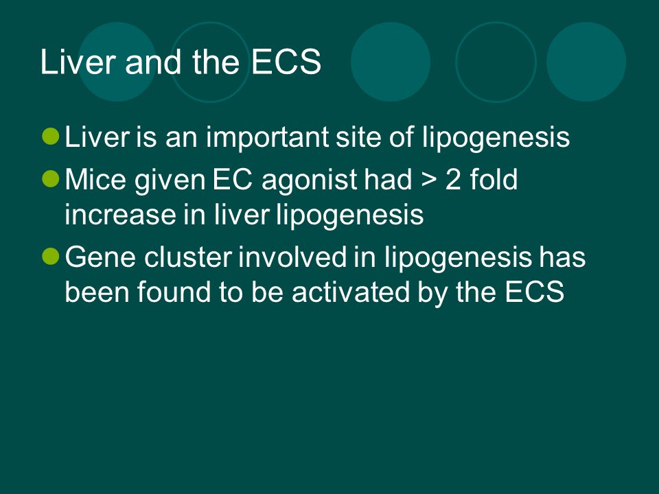 Liver and the ECS Liver is an important site of lipogenesis Mice given EC agonist had > 2 fold increase in liver lipogenesis Gene cluster involved in lipogenesis has been found to be activated by the ECS