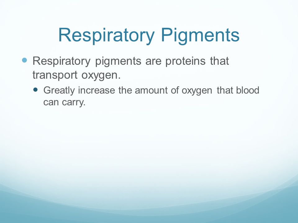 Respiratory Pigments Respiratory pigments are proteins that transport oxygen.