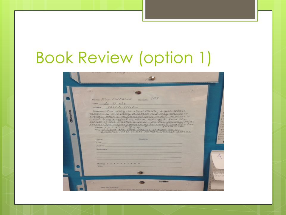 Book Review (option 1)