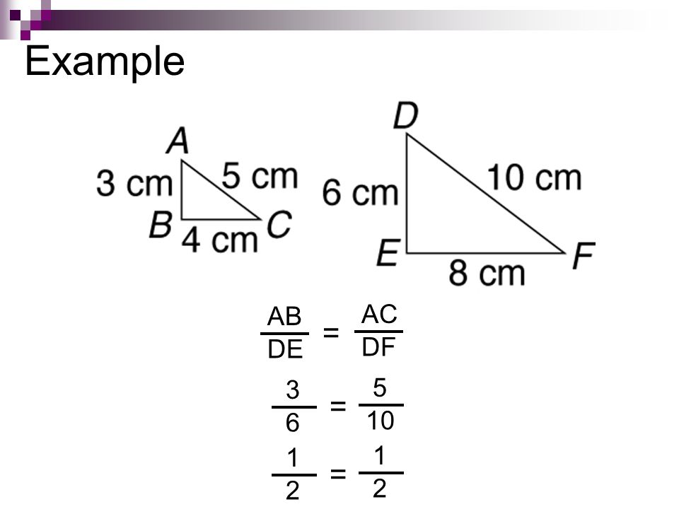 Do Now The Ratio Of Width To Length Of A Swimming Pool Is 5