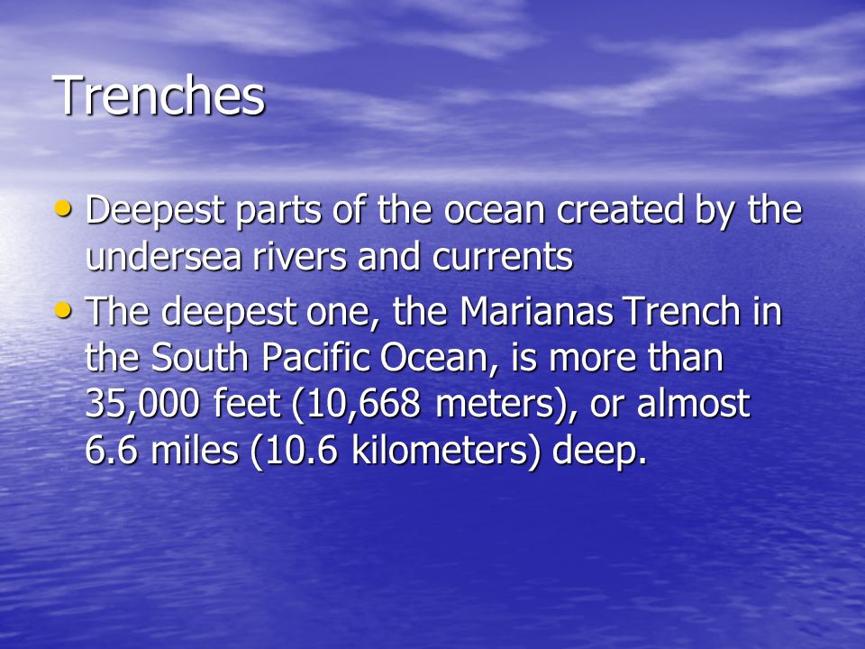 Layers Of The Ocean Deep Sea Creatures On Sea And Sky
