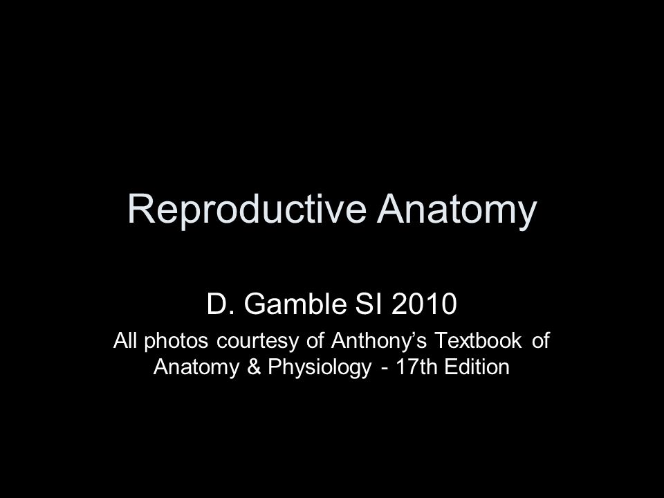 Reproductive Anatomy D.