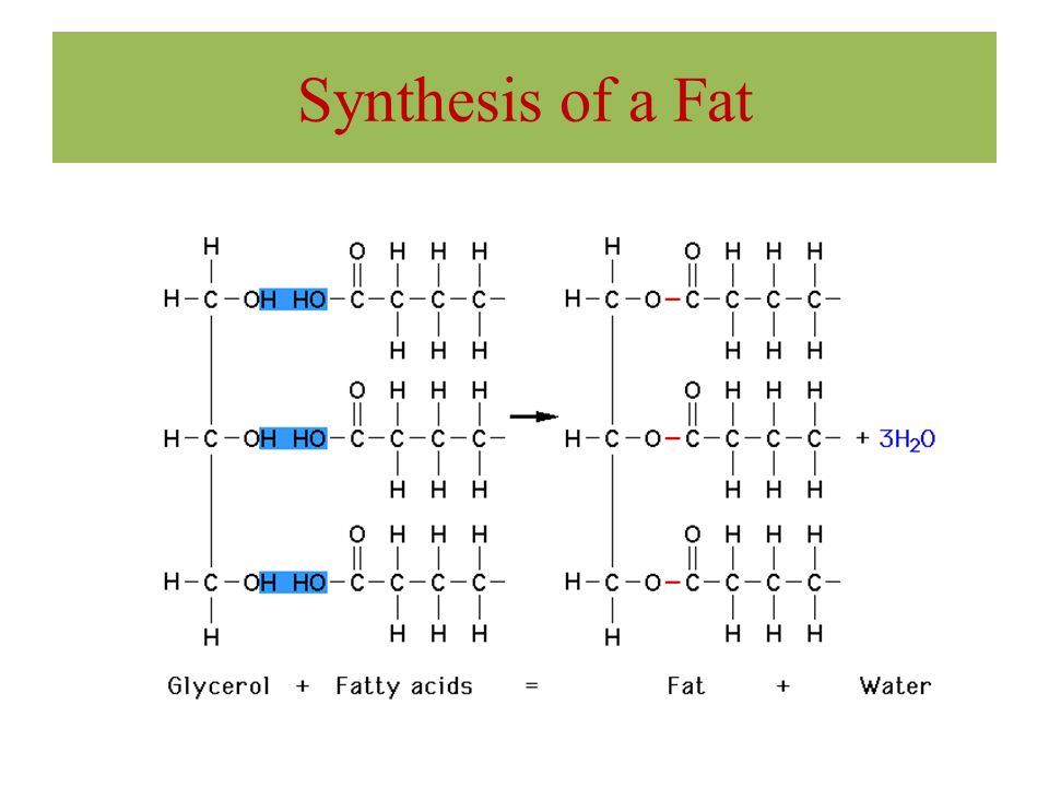 Triacylglycerols Glycerol head group HO-CH 2 -CH(OH)-CH 2 - OH Ester linkage from each hydroxyl to Fatty acid Carboxylate charge is lost TAGs more hydrophobic than FAs