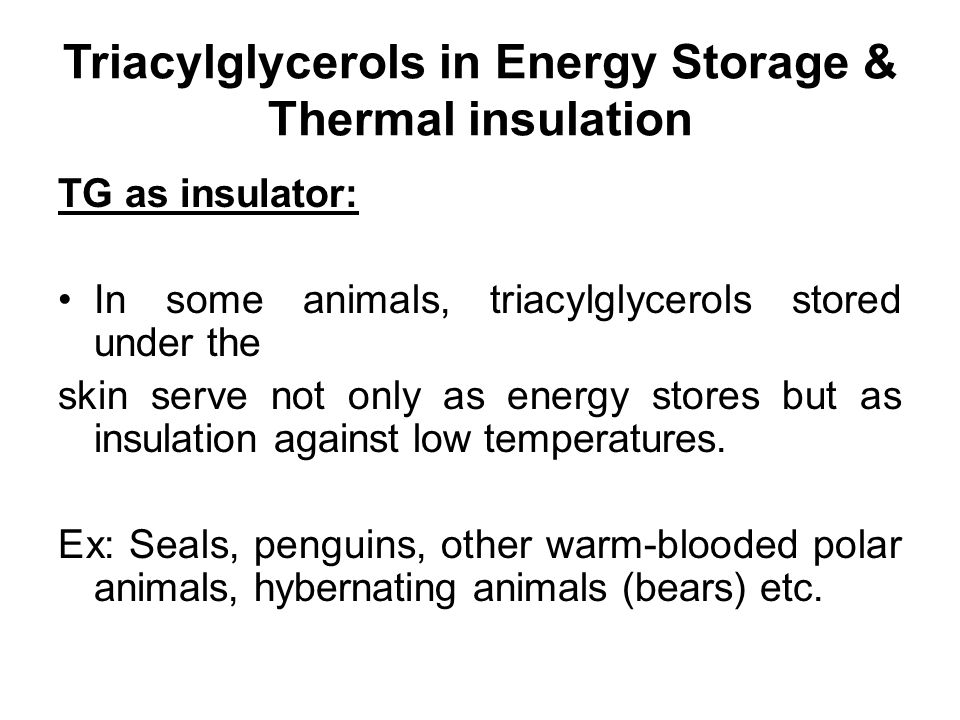 Triacylglycerols in Energy Storage & Thermal insulation Advantages using TG as stored fuels over carbohydrates: Concentrated source of energy –Energy derived from oxidation reactions –More completely reduced state yields 2x the energy/g as Carbohydrates