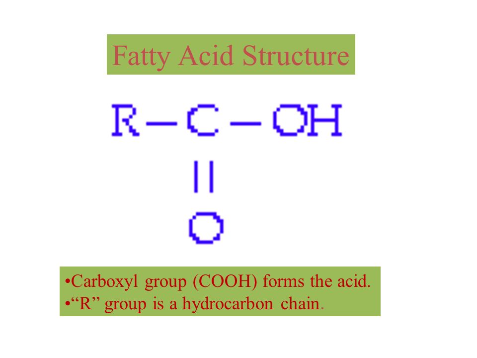 Fatty Acid Structure Carboxylic Acids (COOH is C1) hydrocarbon tails (C4 - C36) Saturated fatty acids N:0 Unsaturated Fatty acids Double bonds specified by (Δ n ) Branched or unbranced