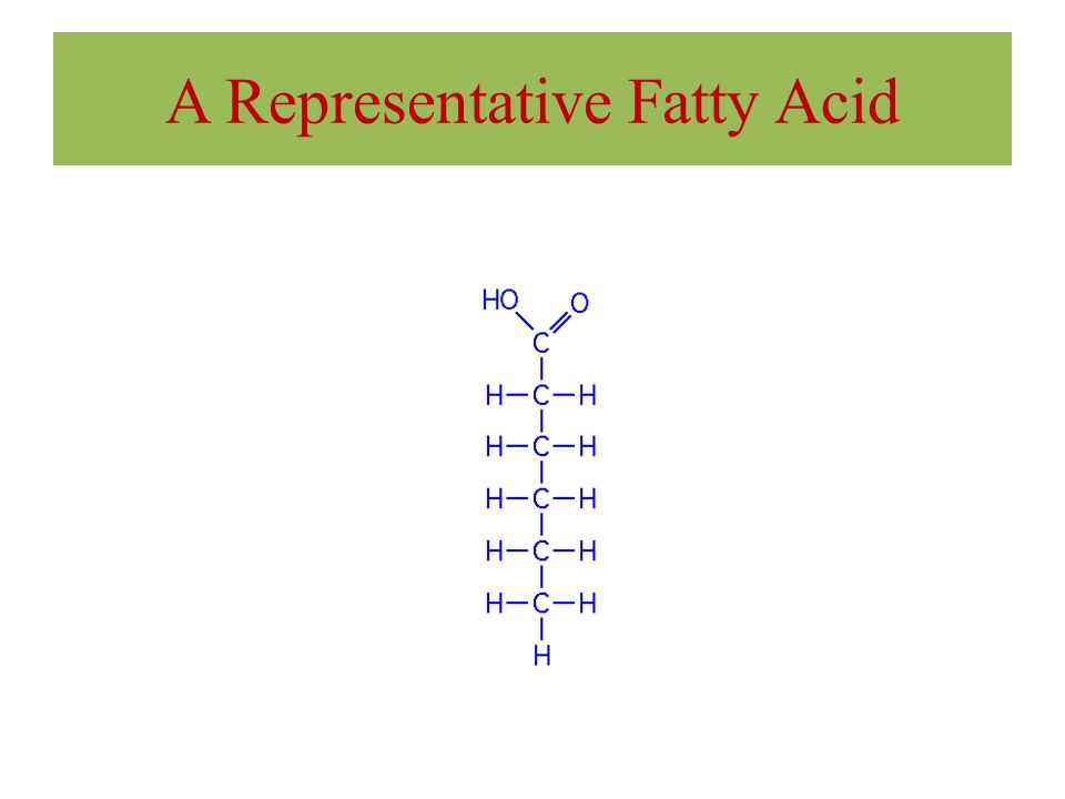 Fatty Acid Structure Carboxyl group (COOH) forms the acid. R group is a hydrocarbon chain.