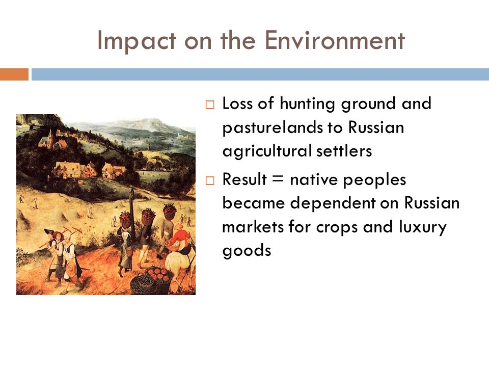 Impact on the Environment  Loss of hunting ground and pasturelands to Russian agricultural settlers  Result = native peoples became dependent on Russian markets for crops and luxury goods